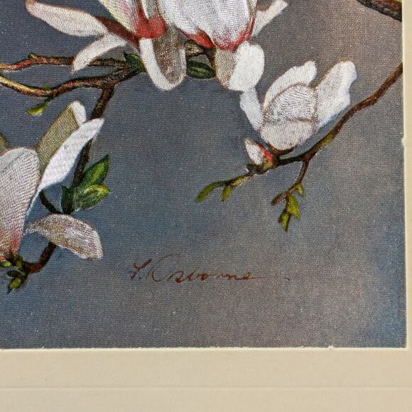 Foil Art Bird Lot Two (2) Signed F. Osborne Vintage B Parakeet Magnolias Floral2 - Picture 7 of 16